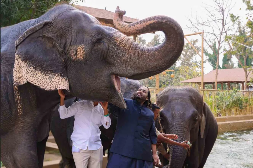 What Is Vantara Ambani