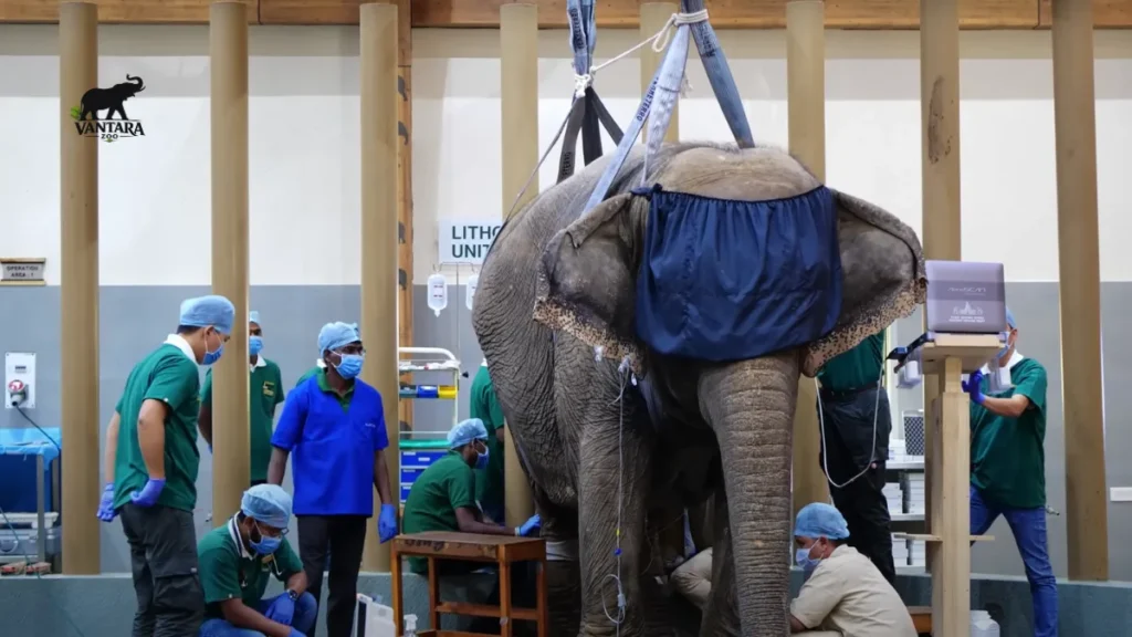 Advanced Veterinary Care at Vantara