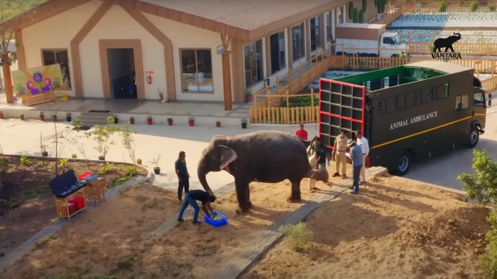 What is Vantara’s Role in Combating Illegal Wildlife Trade?