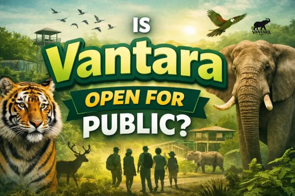 Is Vantara Open for Public?