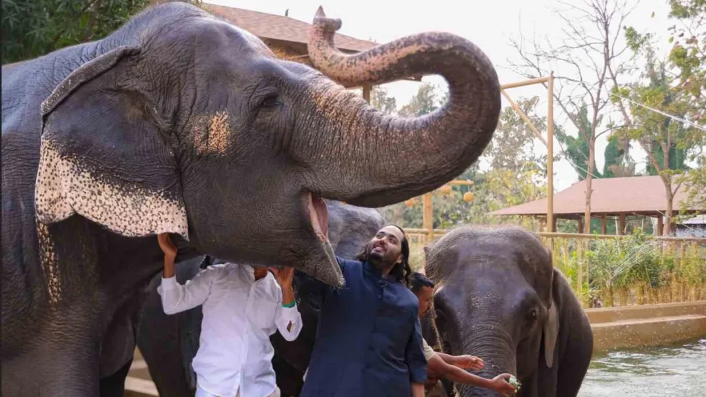 VANTARA FOUNDATION DAY