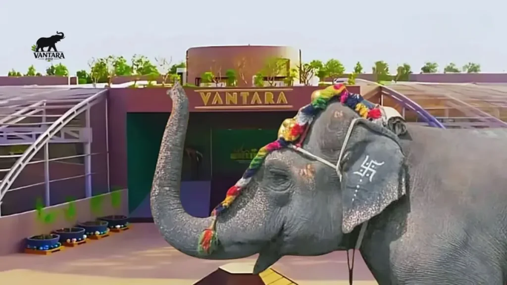 Madhuri Elephant Return Kolhapur